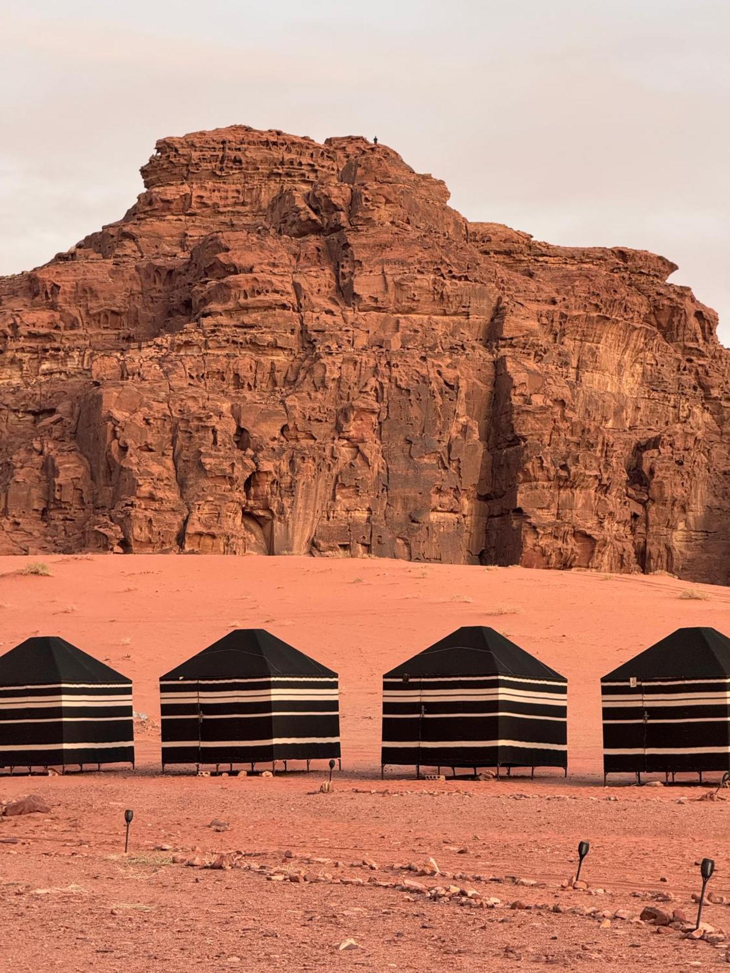 Desert Bird Camp 와디럼 외부 사진