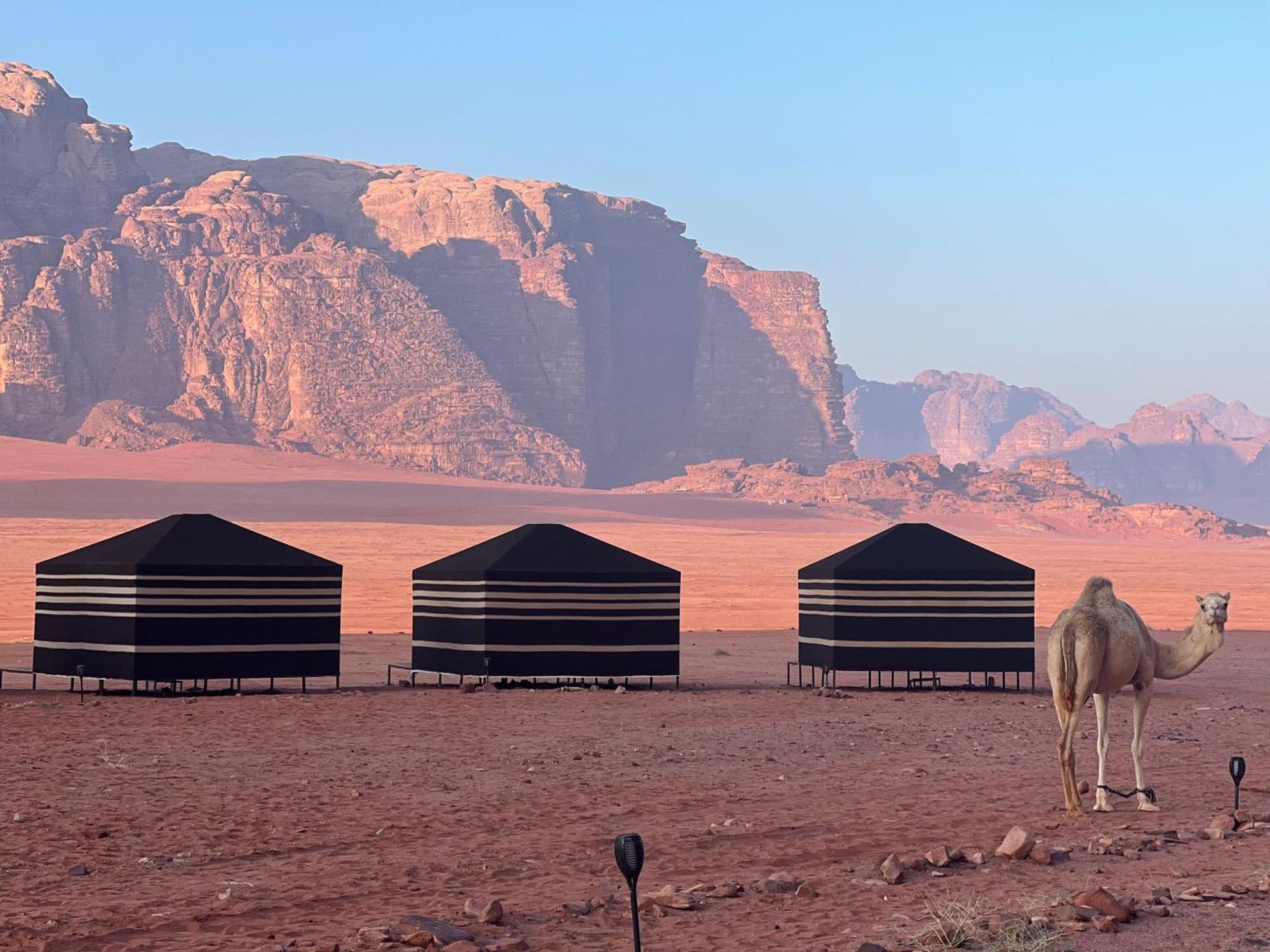 Desert Bird Camp 와디럼 외부 사진
