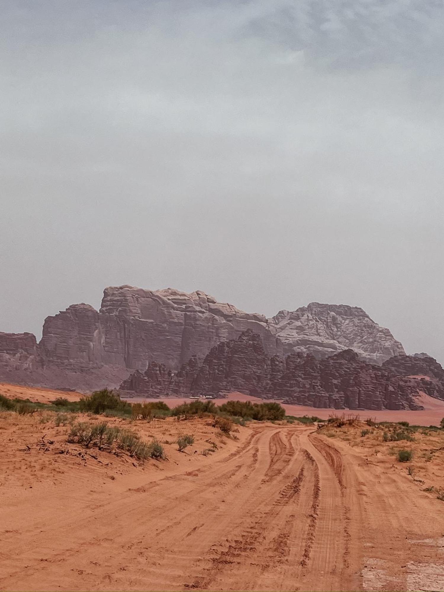 Desert Bird Camp 와디럼 외부 사진