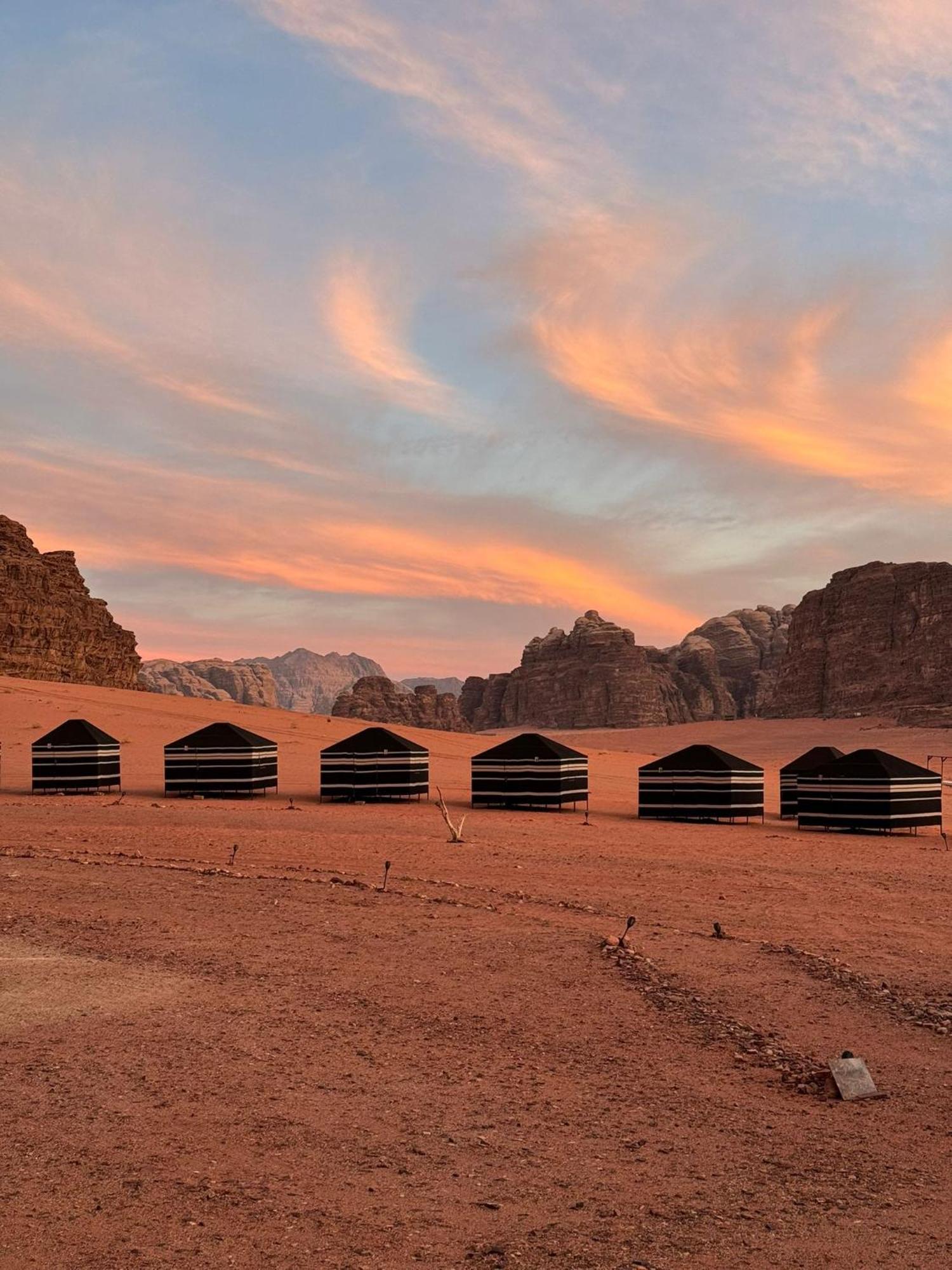 Desert Bird Camp 와디럼 외부 사진