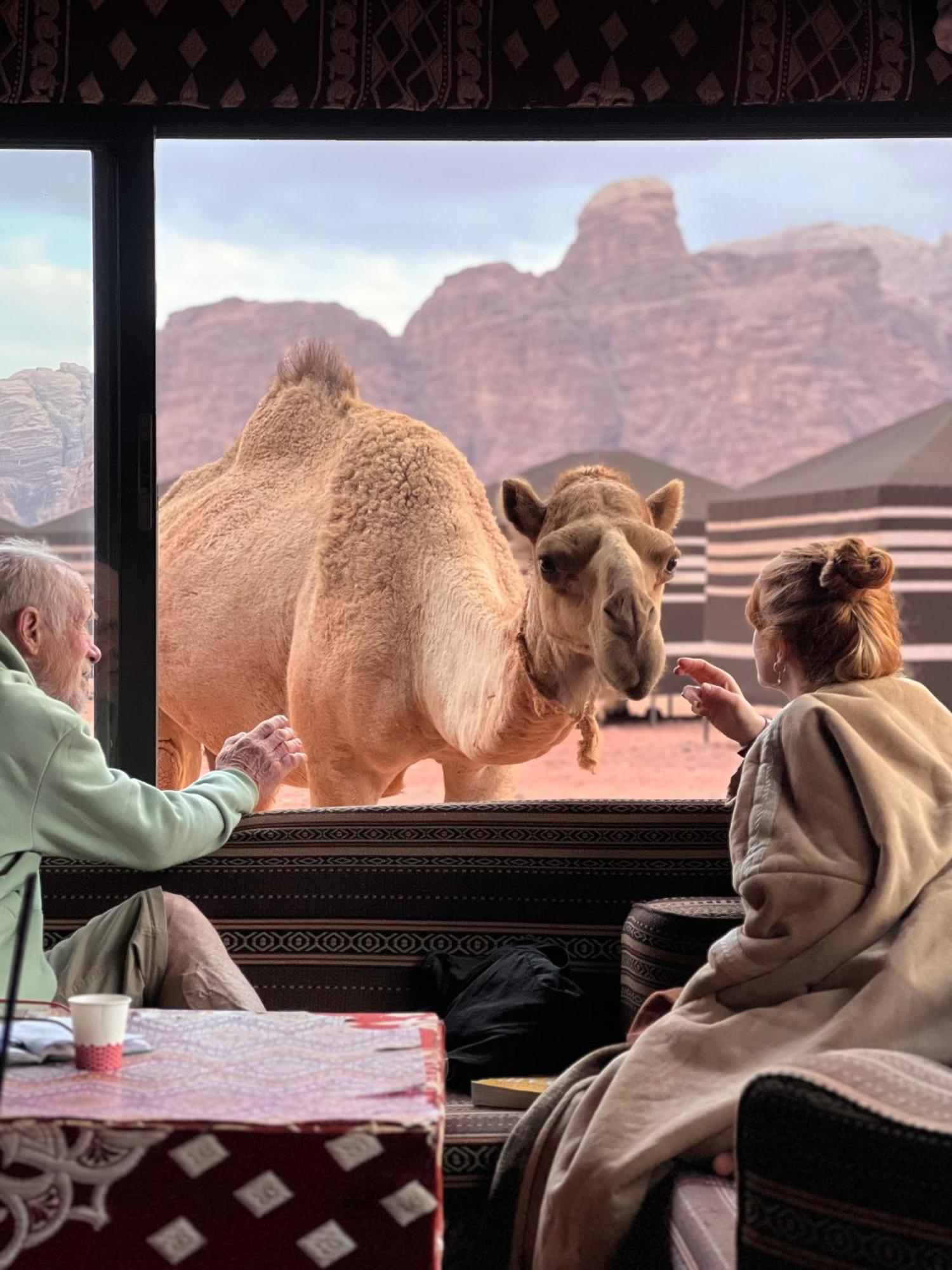 Desert Bird Camp 와디럼 외부 사진